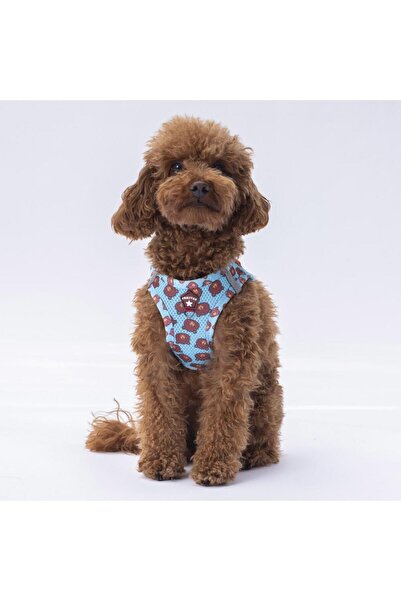 Pawstar Bears Air-mesh Chest Collar Cat Dog Chest Collar