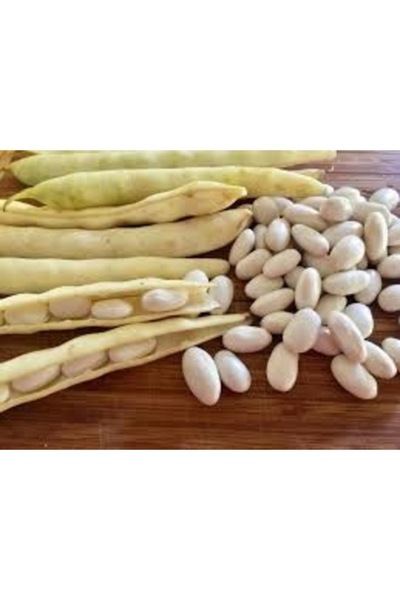 Köy Tohumları 100 Adet Tohum Organik Niğde Yayla Beyaz Fasulye Tohumu Kışlık ...