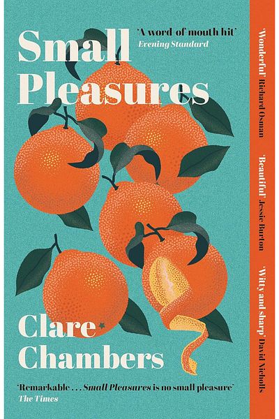 Penguin Books Small Pleasures: Longlisted for the Women's Prize for Fiction - Clare Chambers
