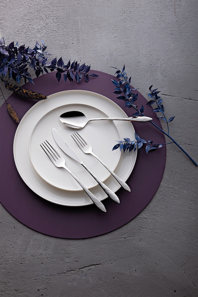 Emsan Набір столових приборів у коробці Acacia 24 предмета на 6 персон