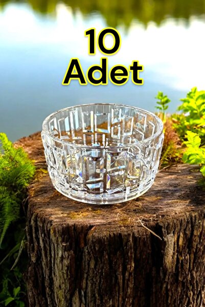 ZTF Global GASTROPLAST 10 ADET 180 ml KIRILMAZ  ÇİZİLMEZ POLİKARBON PLASTİK Ç...