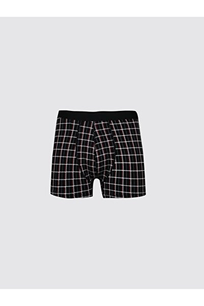 Ltb Çizgili Boxer