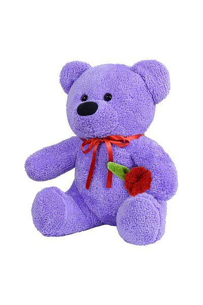 Pandamkee 55 Cm Teddy Bear Holding a Rose in Her Hand