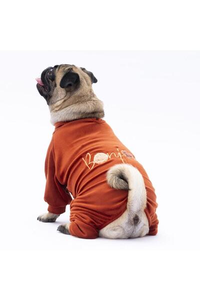 Pawstar Kiremit Angers Köpek Tulumu Köpek Kıyafeti Kedi Kıyafeti