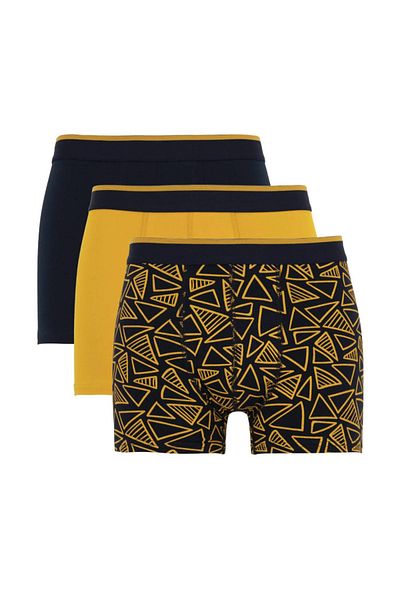 DeFacto T4929az24au Modell 3-teiliges bedrucktes Boxer-Set