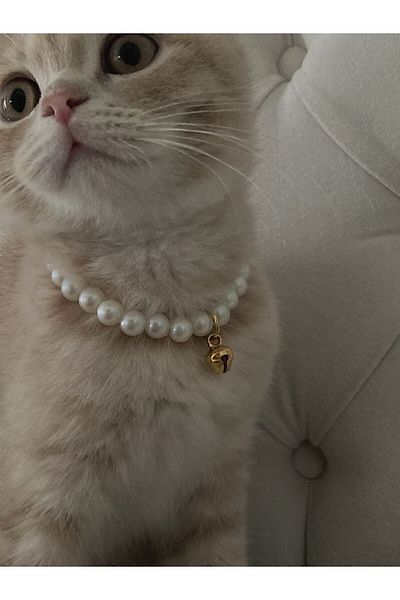 irva collection Cat Collar with Pearls