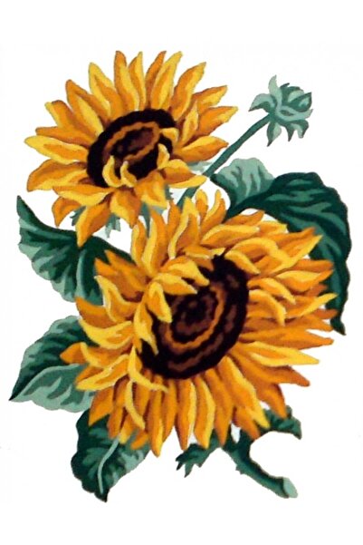 Home 20x25 cm GOBELİN DIAMANT BASKILI GOBLEN 43102