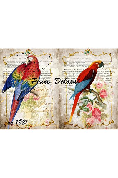 LİNEART ورق ديكوباج نحاسي Lineart رقم: L1921 - 29x42 سم