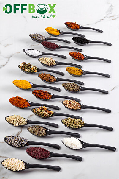OFFBOX 24 Pieces Spice Spoon Breakfast Spice Spoon Spoon Set BK-24