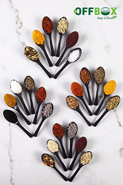OFFBOX 24 Pieces Spice Spoon Breakfast Spice Spoon Spoon Set BK-24