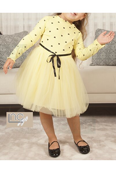 nc gift Rochie tutu prințesă cu inimă flexibilă din tul pufos din lycra impri...