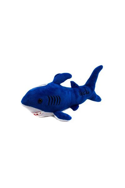 TRUST STORE 25 cm Plush Cute Shark - Sleep & Playmate Blue