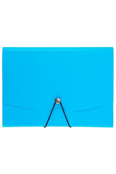 Lotte A4 Size 13 Clear Gusseted Envelope File with Eyes and Colors