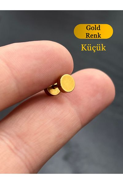 Karınca Piercing Rose Or Gold Color Steel Ear Earring Small Thin Tunnel Piercing (Ant Tattoo)