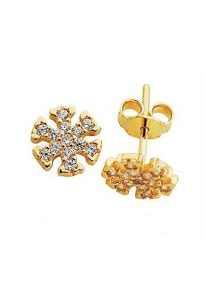 Sembol Gold 14 Ayar Altın Iğne Küpe Kartanesi