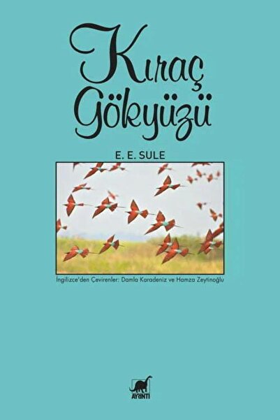Ayrıntı Yayınları Kıraç Gökyüzü / E. E. Sule