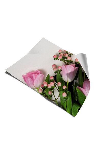 Bigaimaj Tulip Sticker - Refrigerator and Dishwasher Cover, Self Adhesive Foil Covering