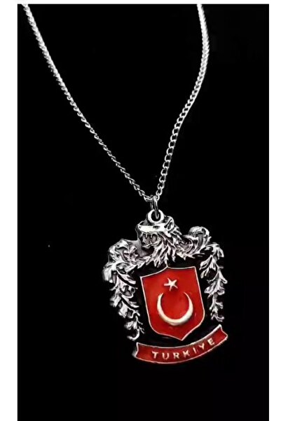 Herşey Nota Bozkurt Logolu Türk Bayraklı 925 Ayar Gümüş Kaplama Kadın Erkek K...