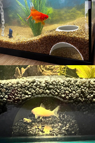 WOOF Balık Mağarası,Akvaryum Balık Saklanma Alanı 1 Adet