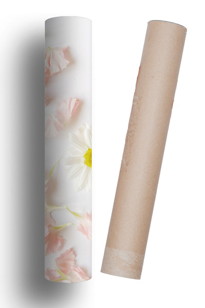 Bigaimaj Buzdolabı Ve Bulaşık Makinesi Kapak Kendinden Yapışkanlı Sticker Folyo Papatya