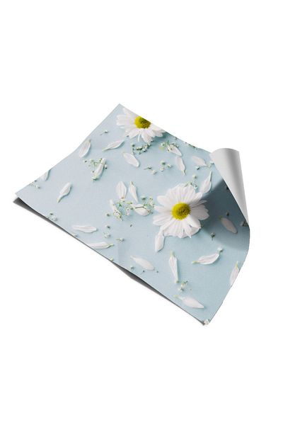 Bigaimaj Foil Daisy - Autocolant adeziv pentru frigider și mașină de spălat vase