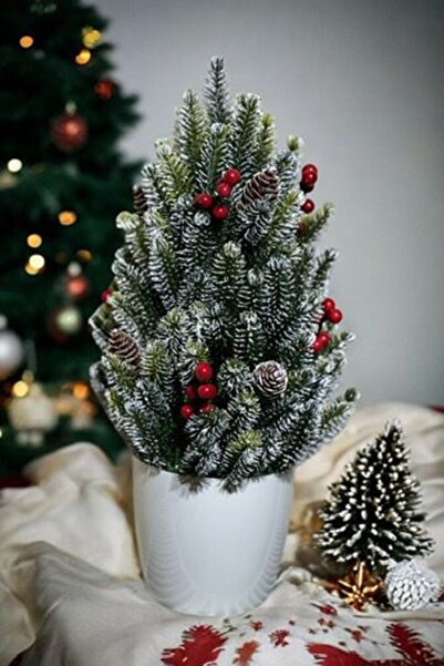 YAPAY ÇİÇEKÇİNİZ شجرة عيد الميلاد 35 سم