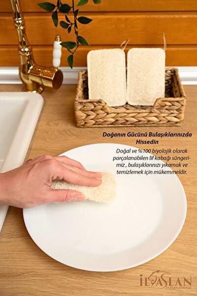 ilaslan international 2 Adet Doğal Kabak Bulaşık Lifi Çift Taraflı Kullanım (12X8 CM)