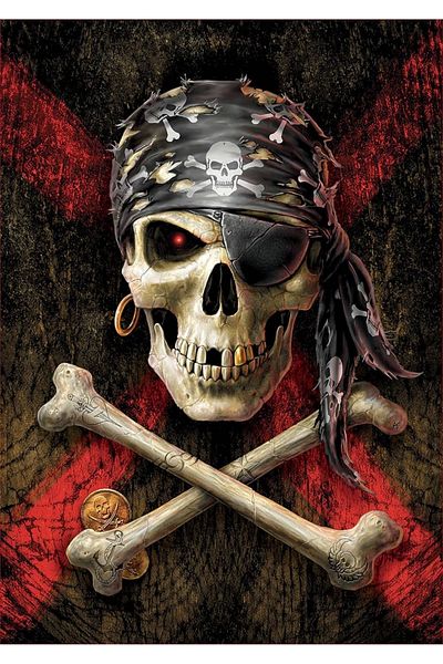 EDUCA 500 Piece Pirate Skull Puzzle 17964