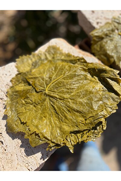 YÜCEHAS Salamura Yaprak 5 Lt Pls Pet 2025 Yeni Mahsul