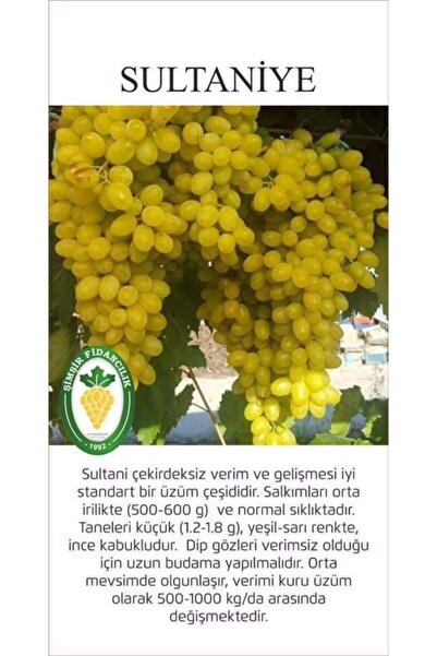 Sultaniye Üzüm Fidanı