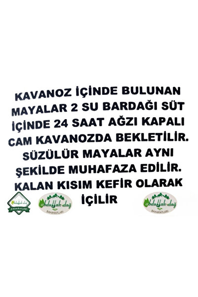 Genel Markalar Hatay Yöresel Kefir Mayası Sulu 105 cc - 3 Adet