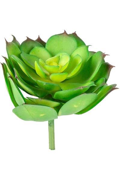 Herdekora Cactus suculent artificial Eçeverya verde 14 cm.