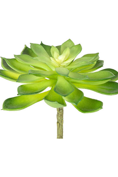 Herdekora Cactus artificial Eceverya suculent verde 15 cm.