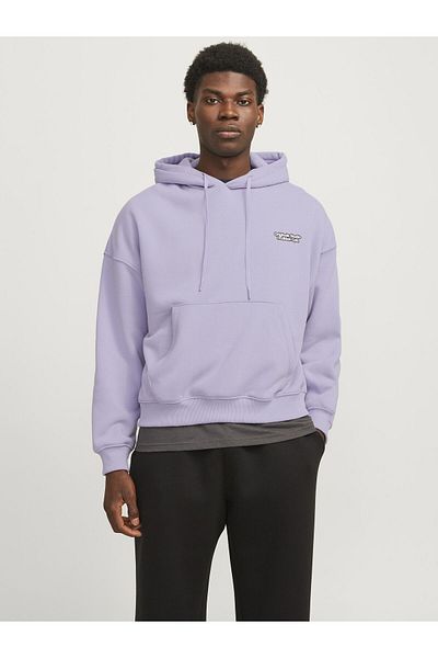 Jack & Jones Kapuzenpullover Gedruckt Kapuzenpullover