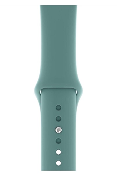 W wopiece Watch 41/40/38 Mm Series 10(42MM)/9/8/7/6/5/4/3/se Kordon Kayış Kal...