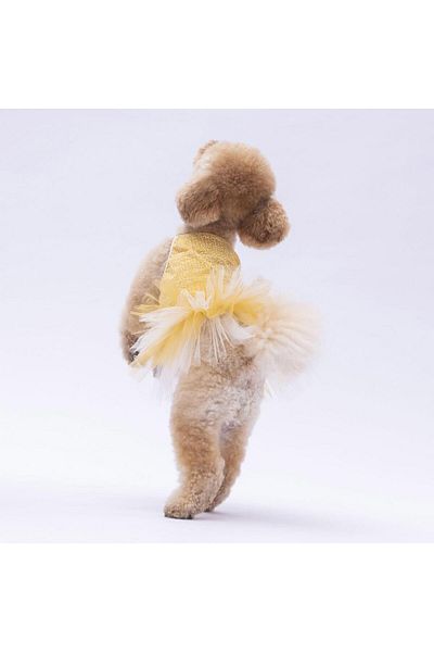 Pawstar Polka-Dot Yellow Cat Dog Dress - Outfit