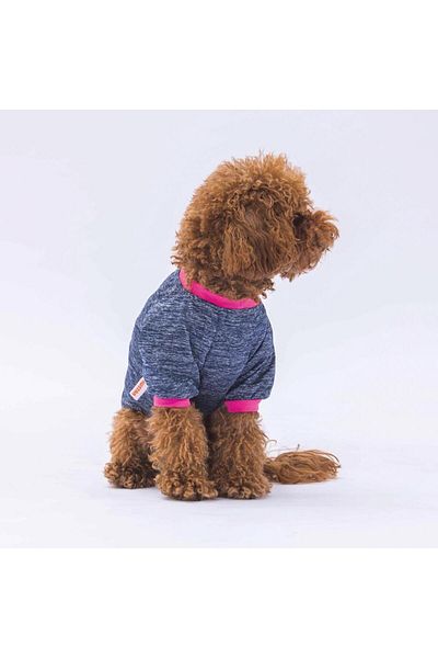 Pawstar Dark Blue Shine Cat Dog Sweatshirt - Outfit Designed
