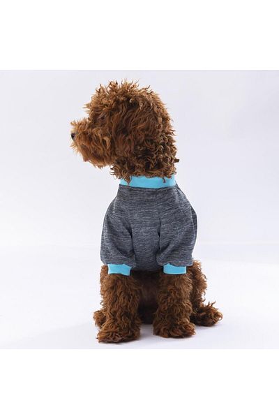 Pawstar Smoked Shine Cat Dog Sweatshirt - Cat Dog Outfit