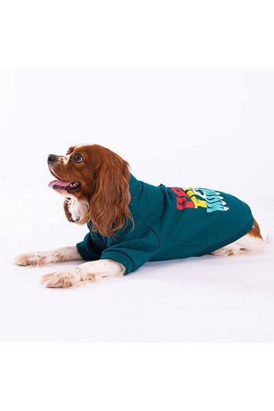 Pawstar Green Monster Cat Dog Jacket Cat Dog Outfit Cat Dog Dress