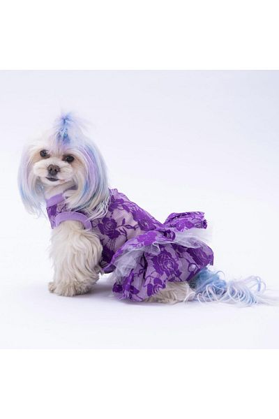 Pawstar Purple Rosa Cat Dog Outfit - Comfortable Dress Design