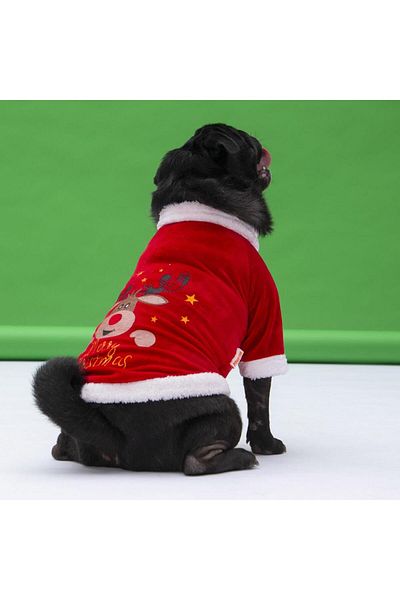 Pawstar Merry Christmas Small And Medium Breed Dog Sweati Dog Outfit