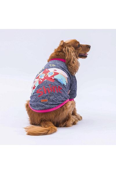 Pawstar Anthracite Shine Cat Dog Sweatshirt - Outfit Patterned