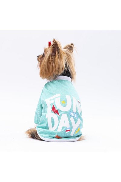 Pawstar Mint Fun Day Cat Dog Sweatshirt - Cat Dog Outfit