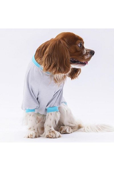 Pawstar Gray Shine Cat Dog Sweati - Cat Dog Outfit