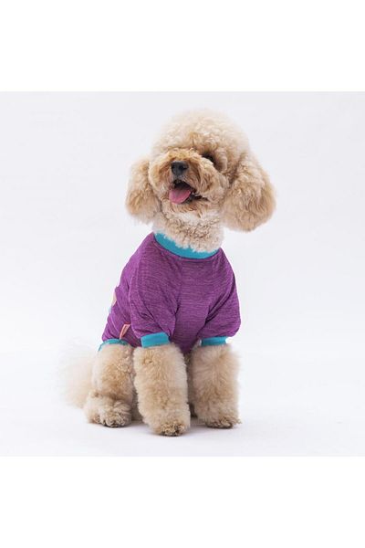 Pawstar Purple Shine Cat Dog Sweatshirt - Outfit Designed