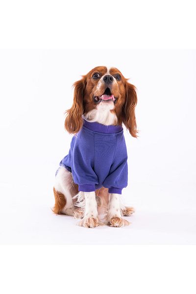 Pawstar Purple Power Dog Sweati Dog Outfit Cat Outfit