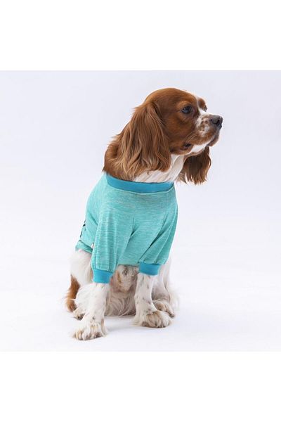 Pawstar Mint Everything Cat Dog Sweatshirt - Cat Dog Outfit