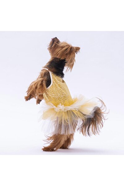 Pawstar Sarı Polka-Dot Kedi Köpek Elbisesi - Kedi Köpek Kıyafeti