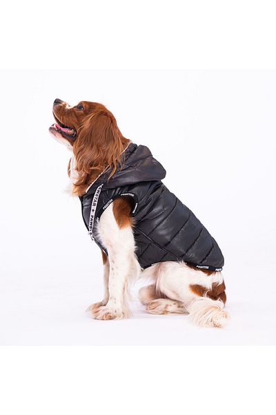 Pawstar Black Railway Anorak Vest Dog Vest Dog Outfit Dog Raincoat