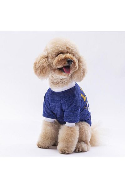 Pawstar Blue Dude Cat Dog Sweatshirt - Cat Dog Outfit
